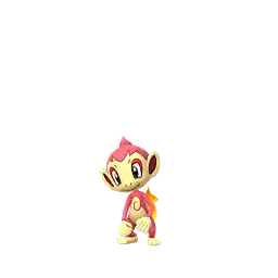 Chimchar