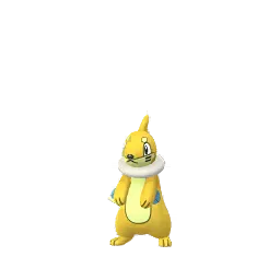 Buizel