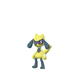 Riolu