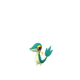 Snivy