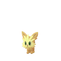 Lillipup