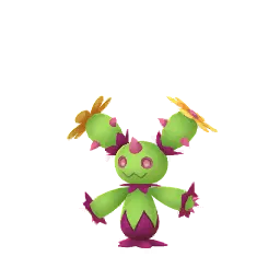 Maractus