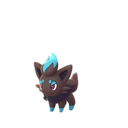 Zorua