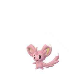 Minccino