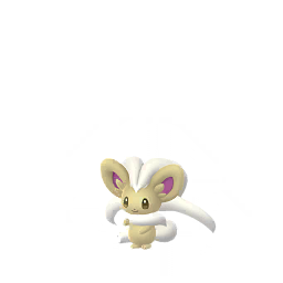 Cinccino