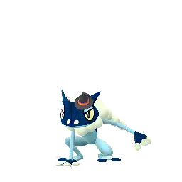 Frogadier — Fall 2024