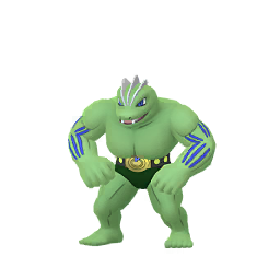 Machoke