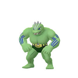 Machoke