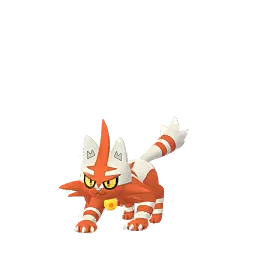 Torracat
