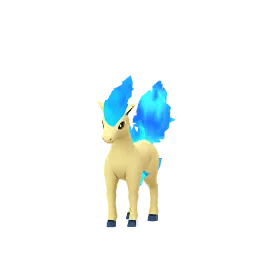Ponyta