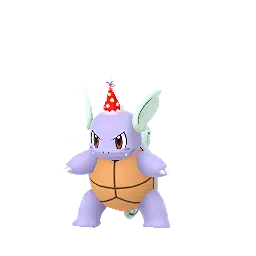 Wartortle — Jan 2020