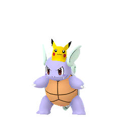 Wartortle — Spring 2020