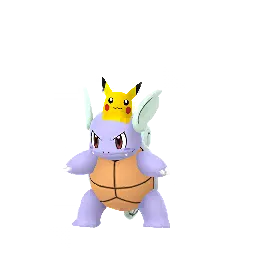 Wartortle — Spring 2020