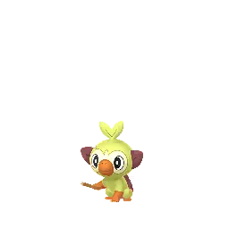 Grookey