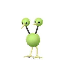 Doduo