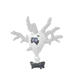 Cursola